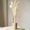 Dried Gem Grass White Flower Bunch Phalaris Flower