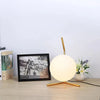 Modern Glass Ball table lamps Gold Nordic Simple Bedroom